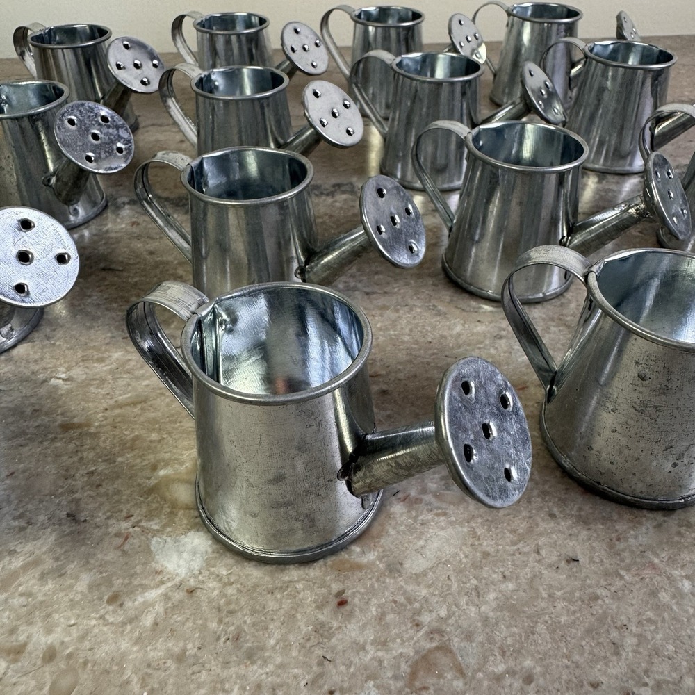 Mini Watering Can - 3 x 1.6 in Silver Set Of 16 - Plant Waterer & Indoor Water